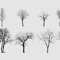 Black and White Tree Silhouettes with Various Shapes Against Light Gray Background
