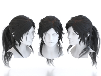 Hair Wig Hairstyle Long Hair Head 3d model