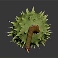 Green Spiky Fruit With Orange Stem On Gray Background And Reflection 3d model
