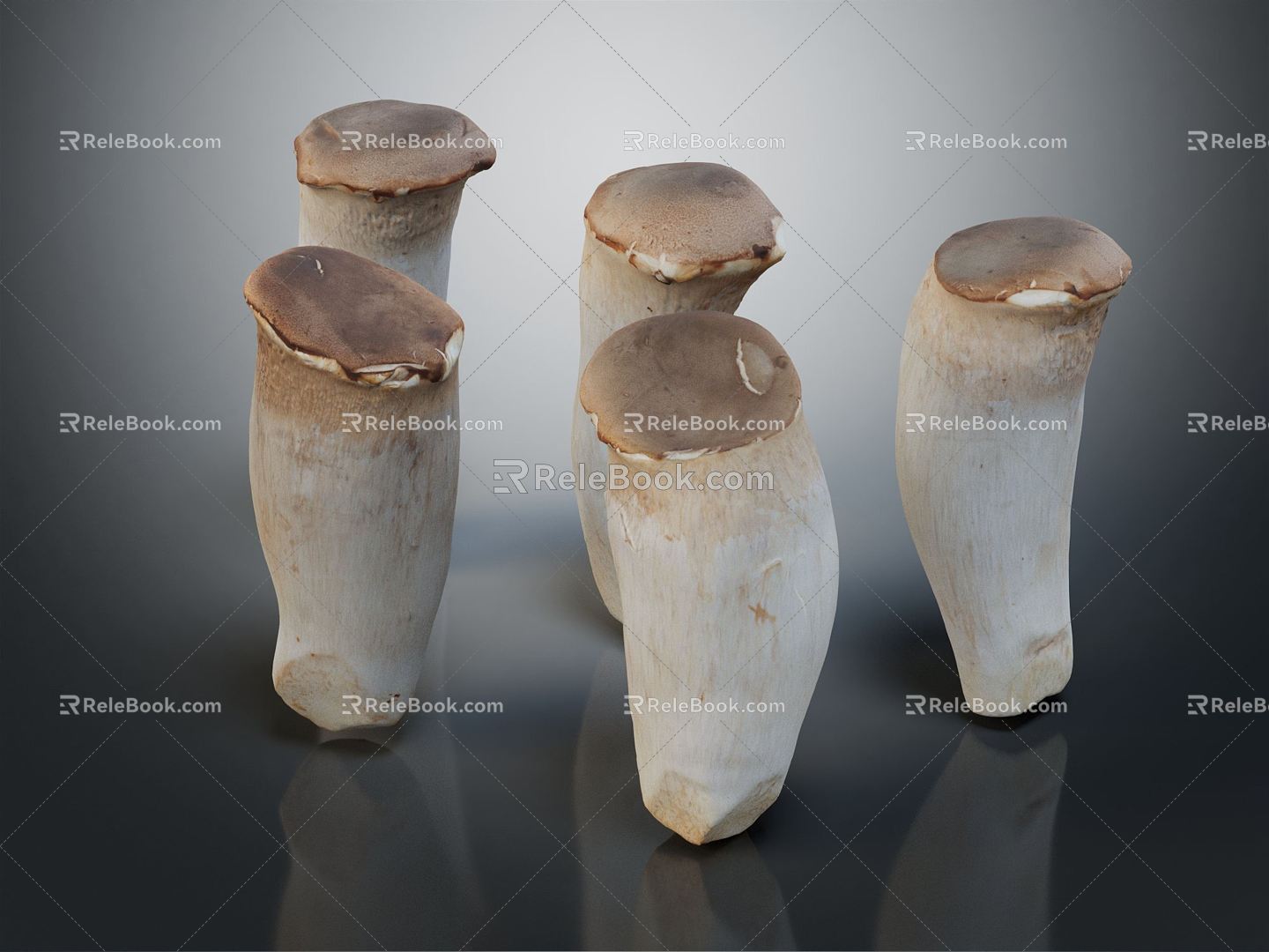 Modern Pleurotus eryngii mushroom 3d model