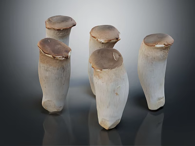 Fresh Vegetables Eringi Mushrooms With White Stalks And Brown Caps Arranged On Black Background 3d model