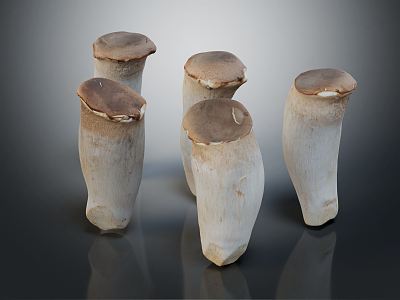 Modern Pleurotus eryngii mushroom 3d model