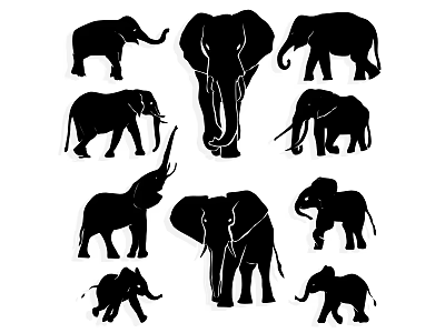 Artistic Black Elephant Silhouette Wall Decor With Various Poses And Sizes 3d model