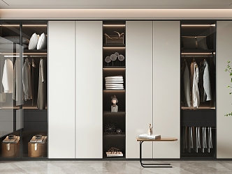 Modern Wardrobe Home Wardrobe 3d model