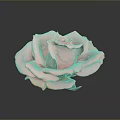 Beautiful Pink Rose with Fresh Petals and Water Droplets on Gray Background