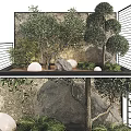 Natural Indoor Landscape Design With Olive Trees Rocks Green Plants And White Spheres