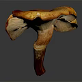 Vibrant Orange Yellow And Deep Purple Mushroom With Umbrella Cap Curved Stem On Dark Background