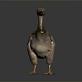 Dodo Bird With Brown Feathers Yellow Feet Black Beak Plump Body And Short Wings
