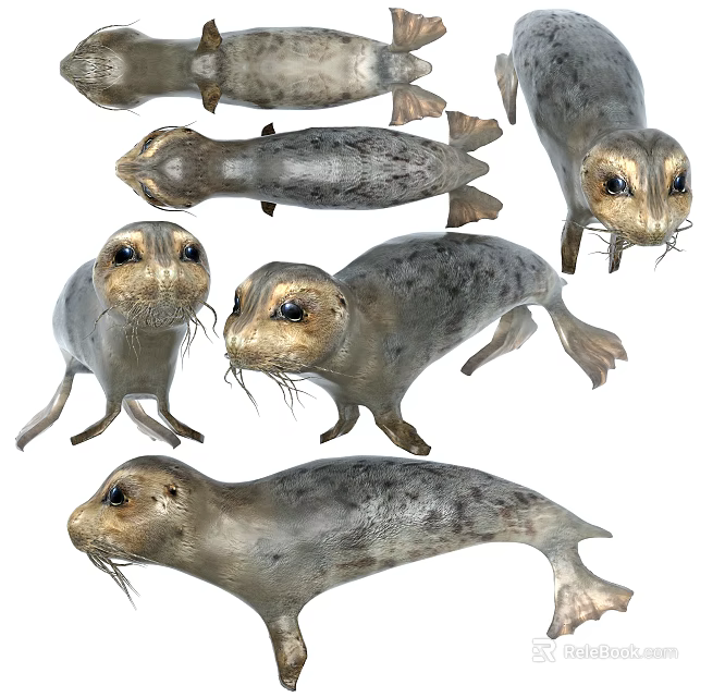 Various Marine Reptile Creatures Displaying Multiple Poses in Natural Habitat 3d model 