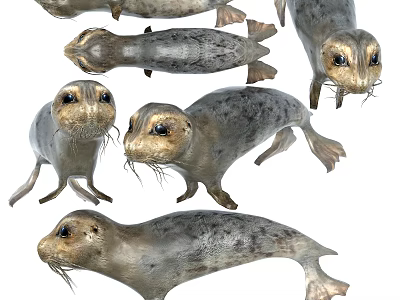 Various Marine Reptile Creatures Displaying Multiple Poses in Natural Habitat 3d model