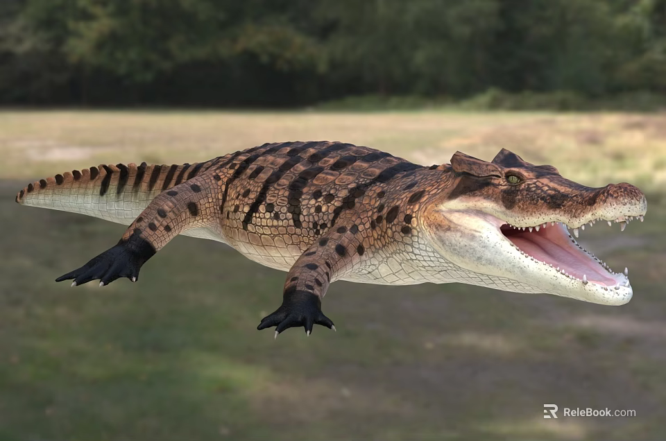 Crocodile Reptile With Open Mouth And Patterned Skin In Natural Habitat 3d model 