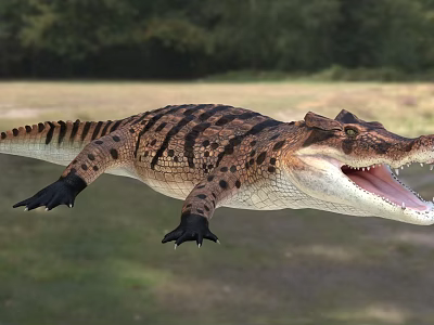 Crocodile Reptile With Open Mouth And Patterned Skin In Natural Habitat 3d model