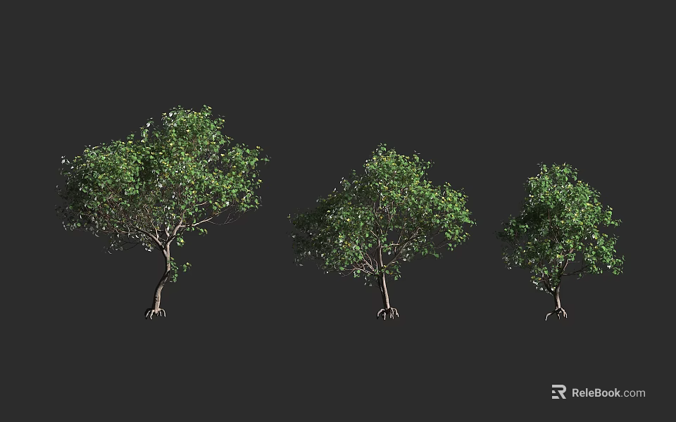 3D Rendered Three Green Leafy Shrubs With Exposed Roots On Dark Background 3d model 