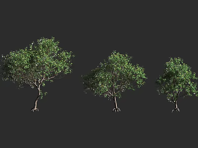 3D Rendered Three Green Leafy Shrubs With Exposed Roots On Dark Background 3d model