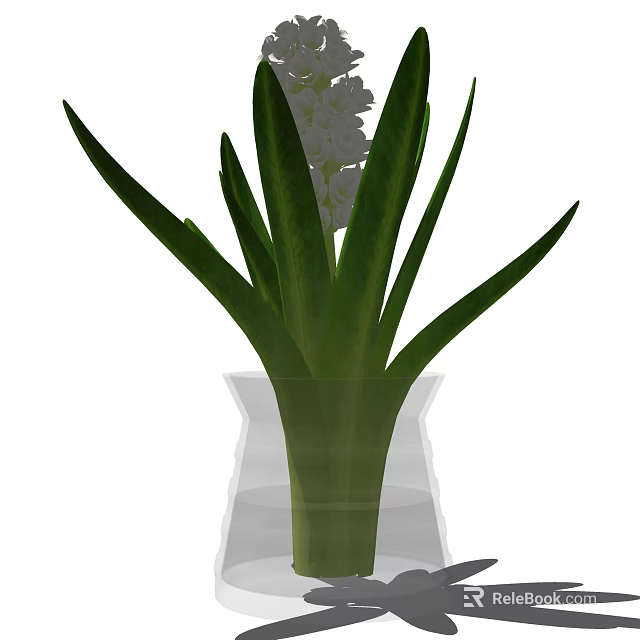 Elegant Clear Glass Vase With White Hyacinth Flowers And Fresh Green Leaves 3d model 