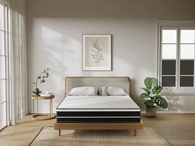 Double Bed with Wooden Headboard in Bright Room Natural Light Potted Plant and Wall Art 3d model