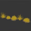 Purple Decorative Plants With Clustered Growth And Thin Stems In Group