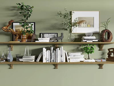 Elegant Decorative Ornament Combination On Shelves With Plants Frames Books And Vases 3d model