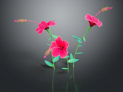 Pink Hibiscus Flowers With Green Stems And Leaves Against Dark Background With Reflections 3d model