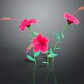 Pink Hibiscus Flowers With Green Stems And Leaves Against Dark Background With Reflections