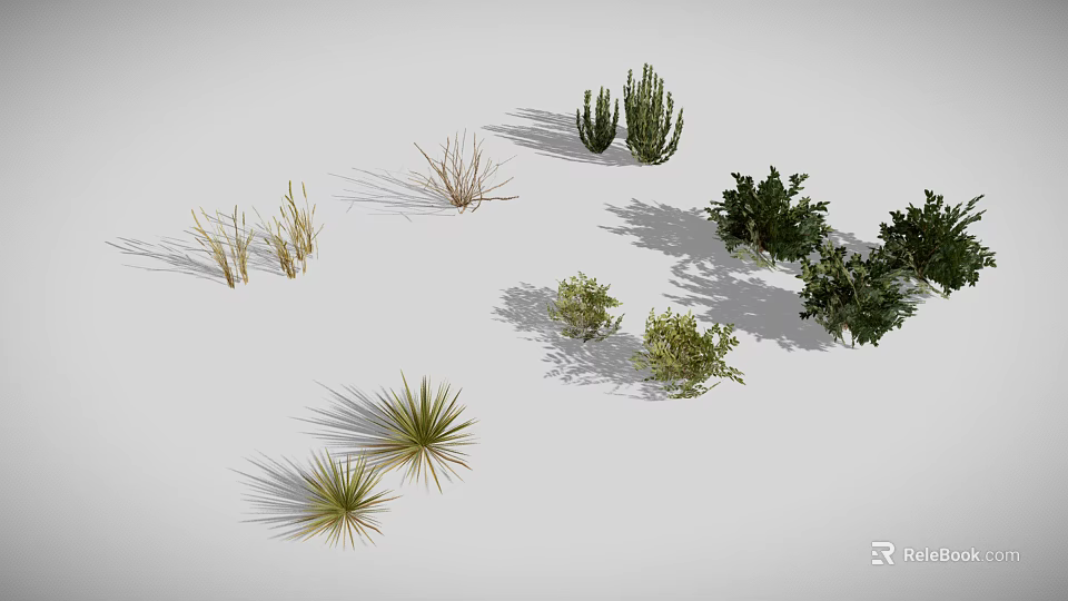 Different Types of 3D Rendered Plants Including Cacti Grasses and Shrubs on White Background 3d model 
