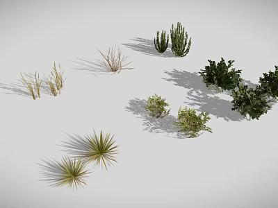 Different Types of 3D Rendered Plants Including Cacti Grasses and Shrubs on White Background 3d model
