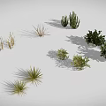 Different Types of 3D Rendered Plants Including Cacti Grasses and Shrubs on White Background