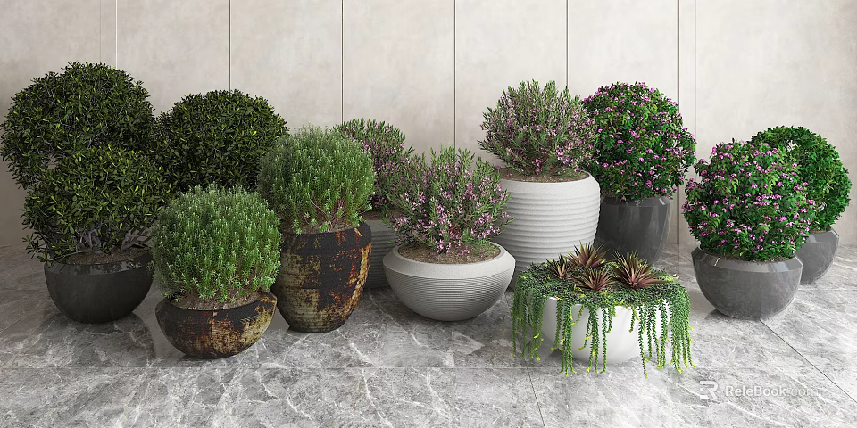 Decorative Bonsai Potted Plants In Assorted Planters On Marble Countertop 3d model