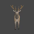 Brown Deer With Large Antlers Standing Against Black Background 3d model