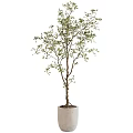 Decorative Indoor Tree in White Pot with Green Leaves and Brown Trunk