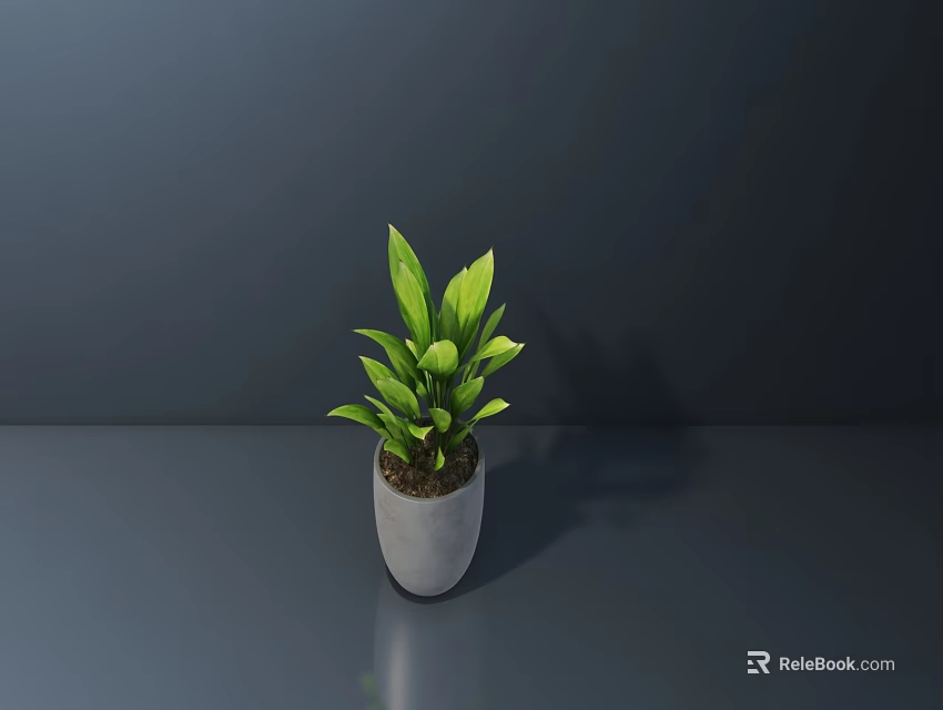 Indoor Bonsai Plant With Green Leaves In Gray Pot On Gray Surface 3d model 