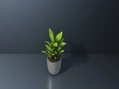 Indoor Bonsai Plant With Green Leaves In Gray Pot On Gray Surface 3d model