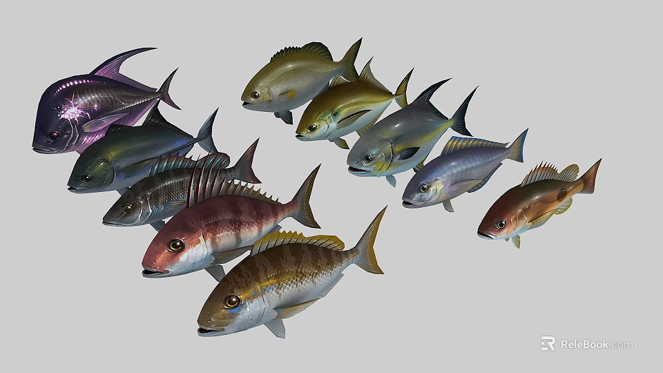 Colorful Aquatic Animals Various Fish Species With Different Colors And Shapes 3d model 