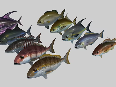 10 pomfret fish realistic pomfret tropical fish mirror fish flat fish white Chang fork fish flat fish ornamental fish gray pomfret marine fish 3d model