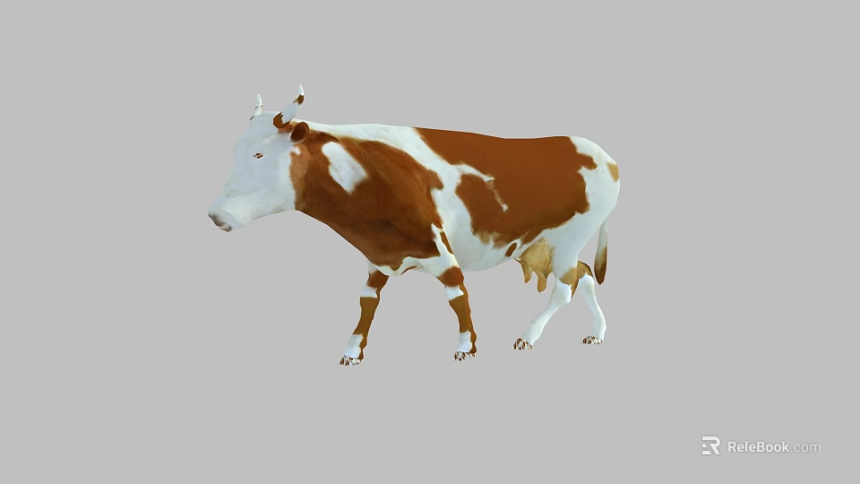 Standing Brown And White Cow With Distinct Spots On Gray Background 3d model