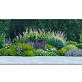 Lush Garden Shrubs With Diverse Plants Colorful Flowers Along Stone Pathway