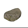 Natural Wood Stone With Rough Textured Surface And Green Moss Accents