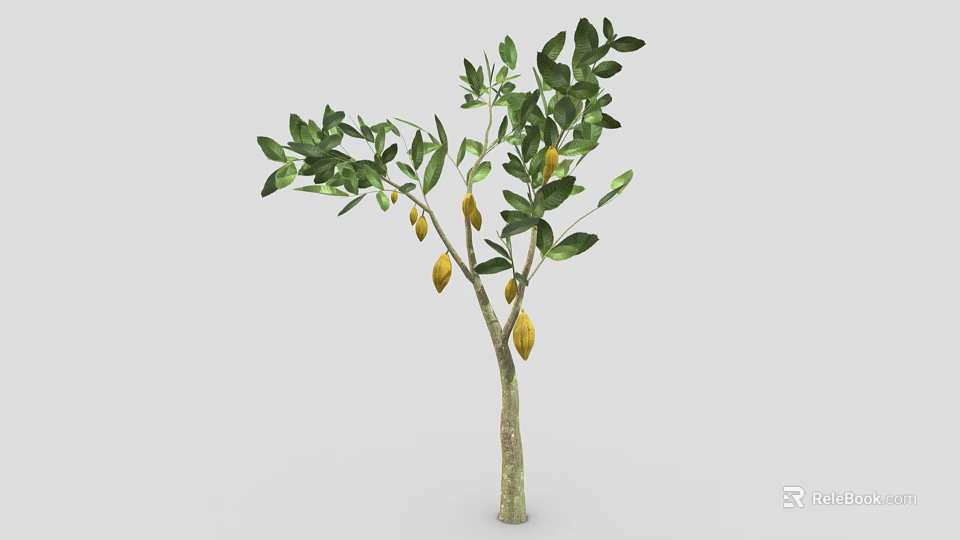 Healthy Lemon Tree With Green Leaves And Yellow Fruits On Slender Trunk 3d model 