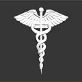 Exquisite Medical Caduceus Sculpture With Metallic Silver Wings And Coiled Serpents