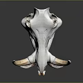 Animal Skull Display With Curved Horns And Detailed Skeletal Structure On Dark Background