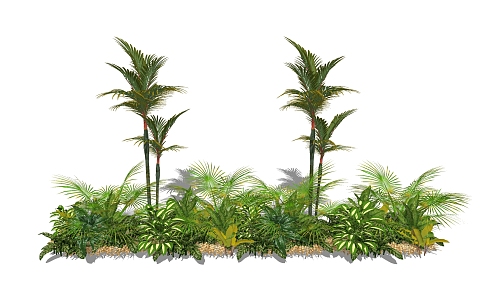 Modern plant bush single 3d model