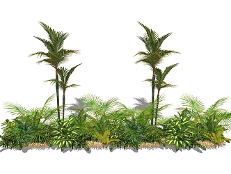 Modern plant bush single 3d model