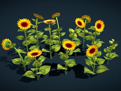 Beautiful Vibrant Yellow Sunflowers With Green Leaves In Full Bloom 3d model
