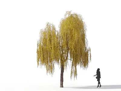 Graceful Willow Tree With Yellow Hanging Branches And Brown Trunk Beside Walking Silhouette 3d model