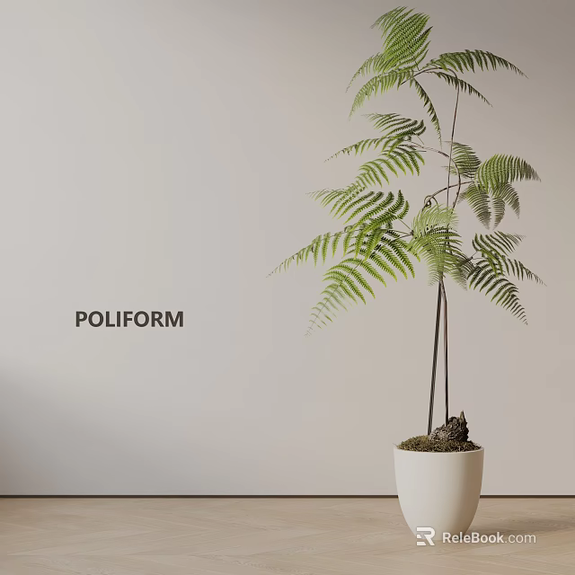 Indoor Green Fern Potted Plant In White Pot With Minimalist Interior Styling 3d model 