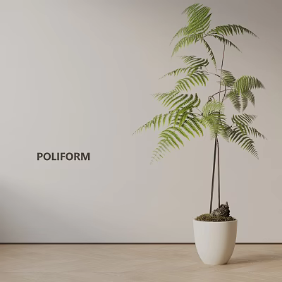 Indoor Green Fern Potted Plant In White Pot With Minimalist Interior Styling 3d model