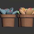 Colorful Succulent Plants in Terracotta Pots with Pink Tipped Petals