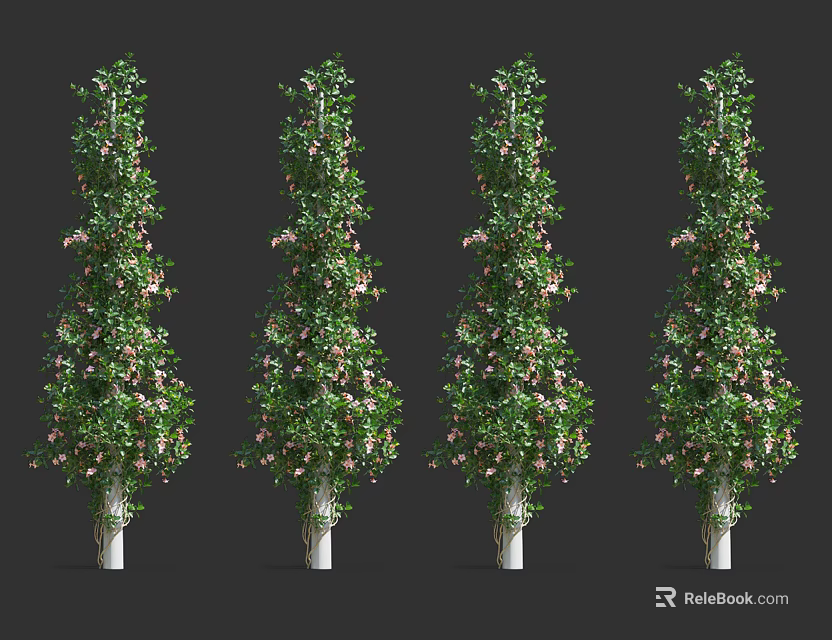 Four Lush Vines with White Trunks Green Leaves and Pink Flowers 3d model 