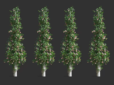Four Lush Vines with White Trunks Green Leaves and Pink Flowers 3d model