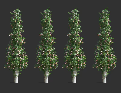 Four Lush Vines with White Trunks Green Leaves and Pink Flowers 3d model